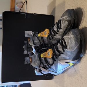 Lebron Twelve Wolf Grey